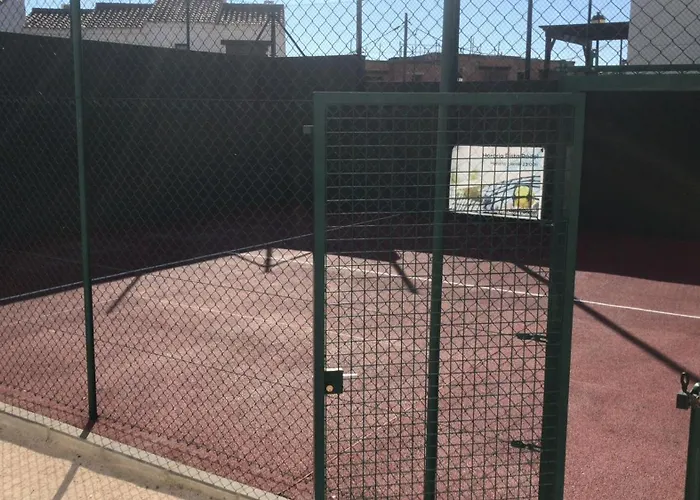 El Olmo